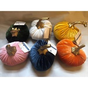 Velvet mini pumpkins 6 Diff Colors Fall Harvest